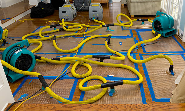Professional Crawl Space Water Removal technician working in Lucedale, MS